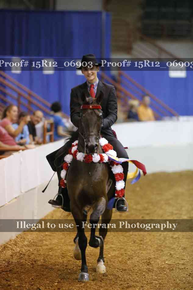 Proof Number 15R12_06903