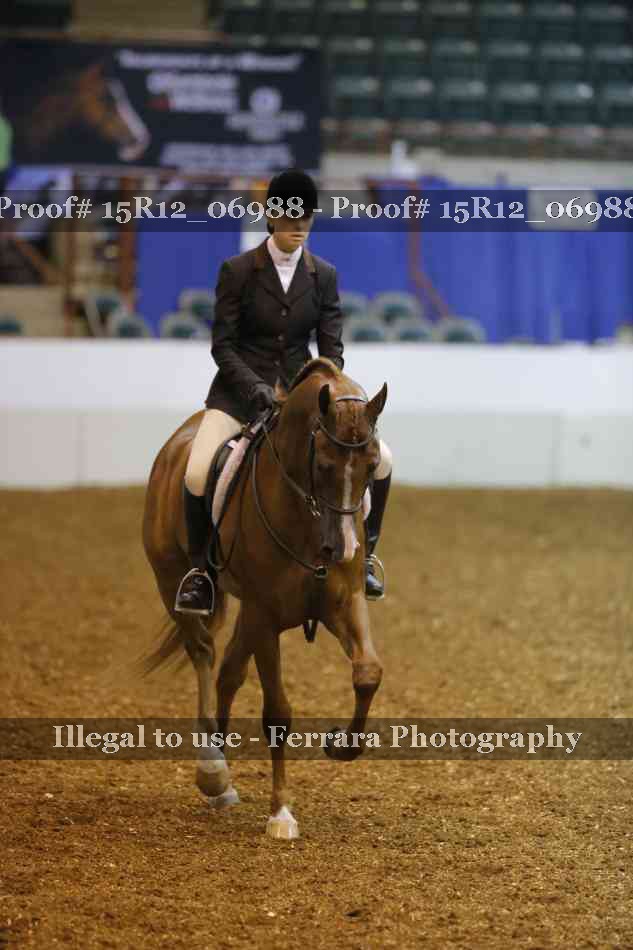 Proof Number 15R12_06988