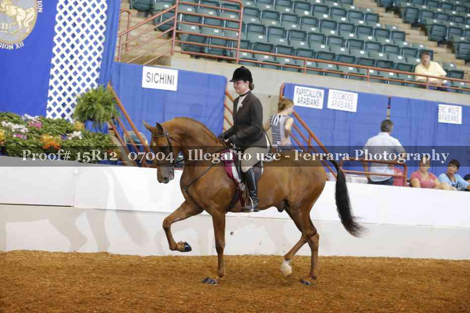 Proof Number 15R12_07004