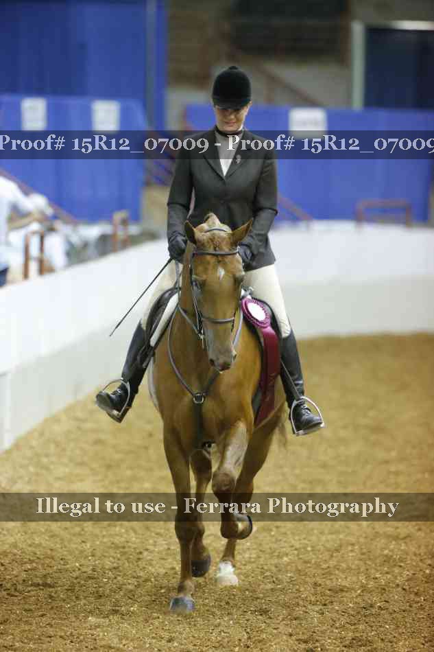 Proof Number 15R12_07009
