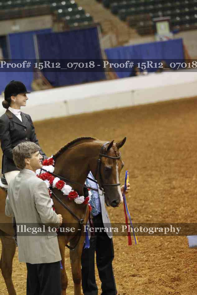 Proof Number 15R12_07018