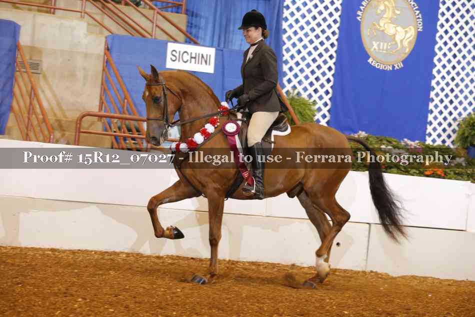 Proof Number 15R12_07027