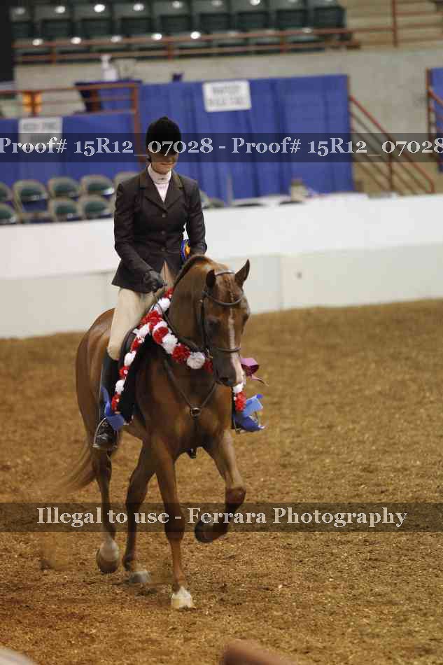 Proof Number 15R12_07028