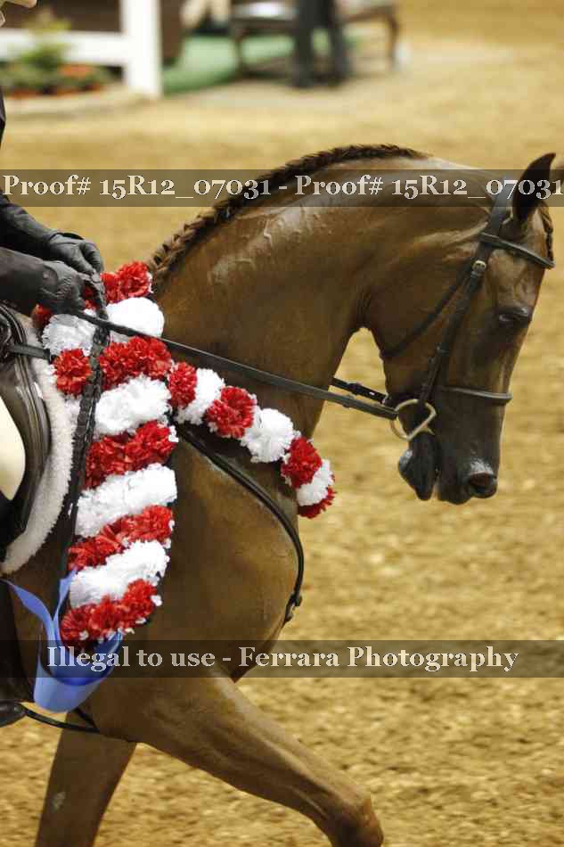Proof Number 15R12_07031