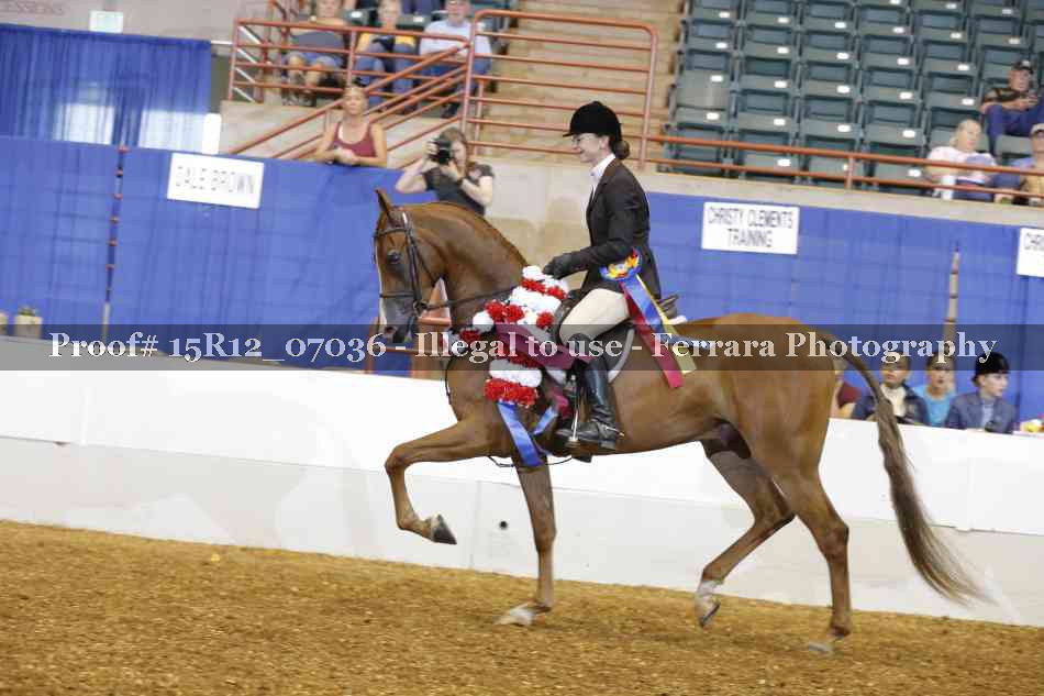 Proof Number 15R12_07036