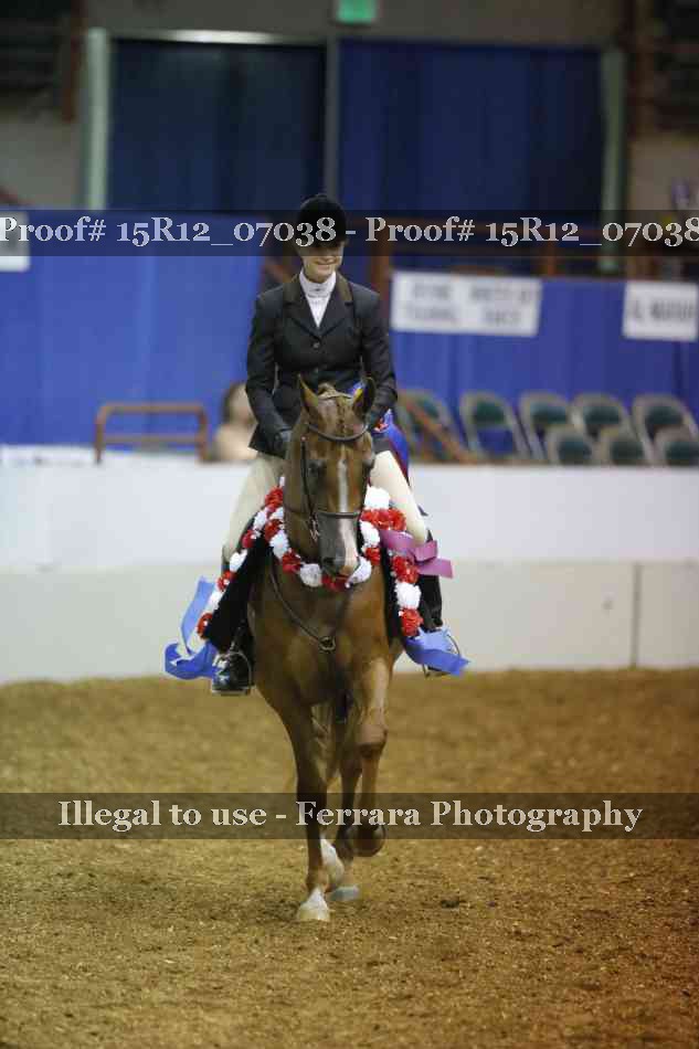 Proof Number 15R12_07038