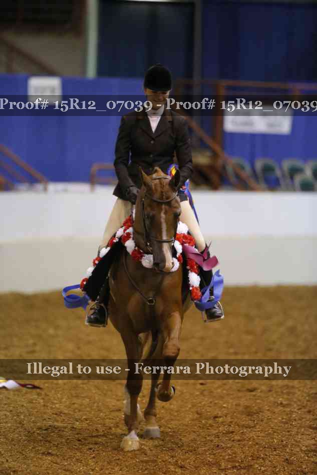 Proof Number 15R12_07039
