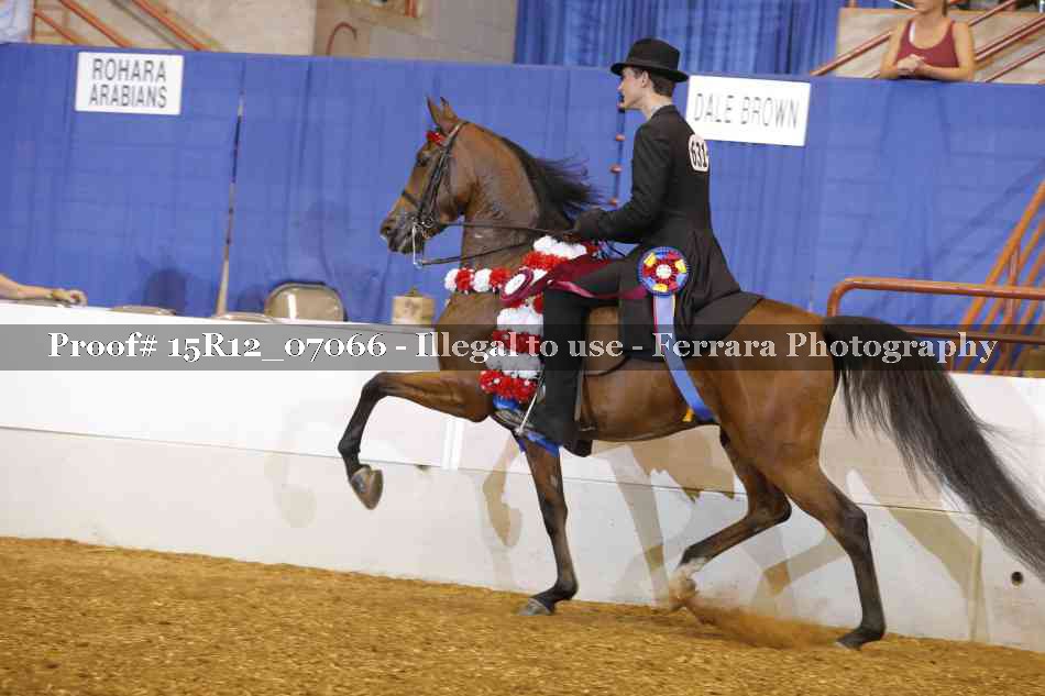 Proof Number 15R12_07066