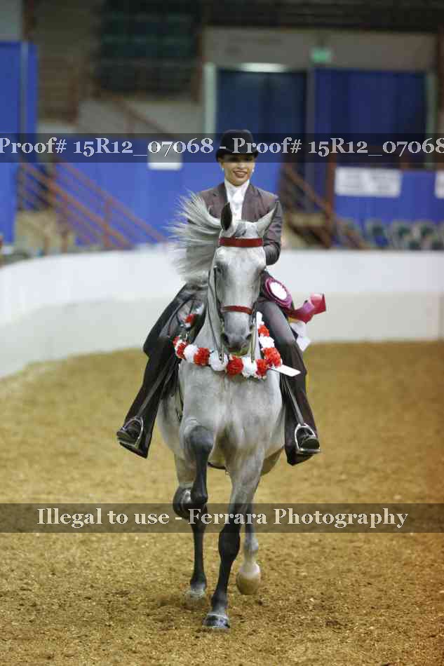 Proof Number 15R12_07068