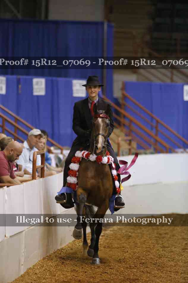Proof Number 15R12_07069