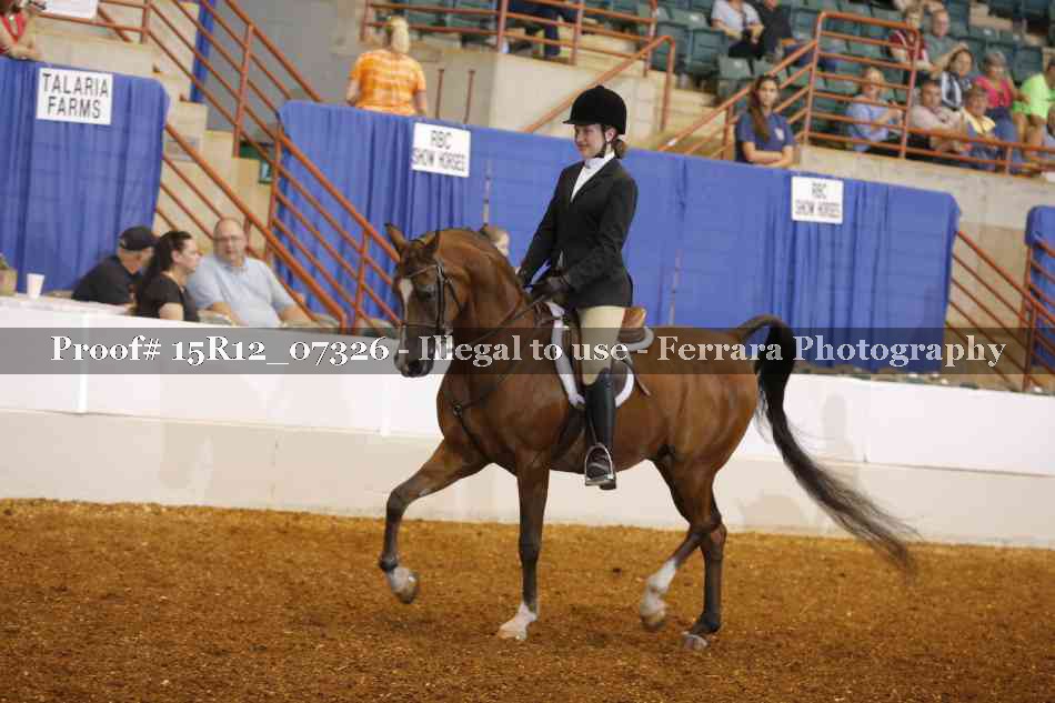 Proof Number 15R12_07326