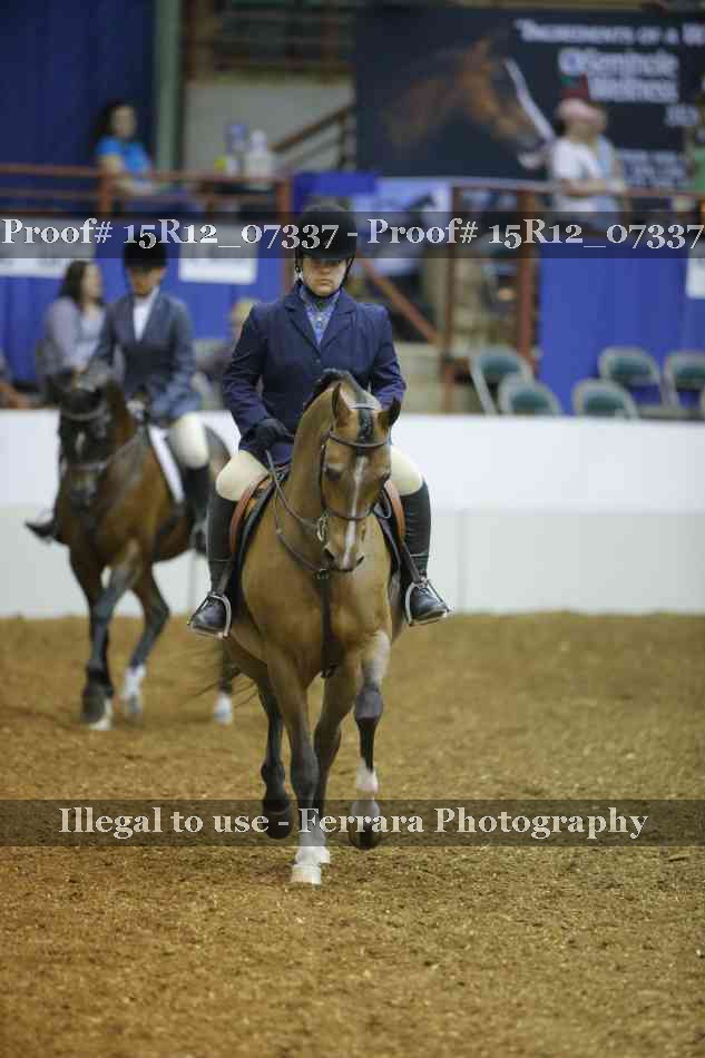 Proof Number 15R12_07337