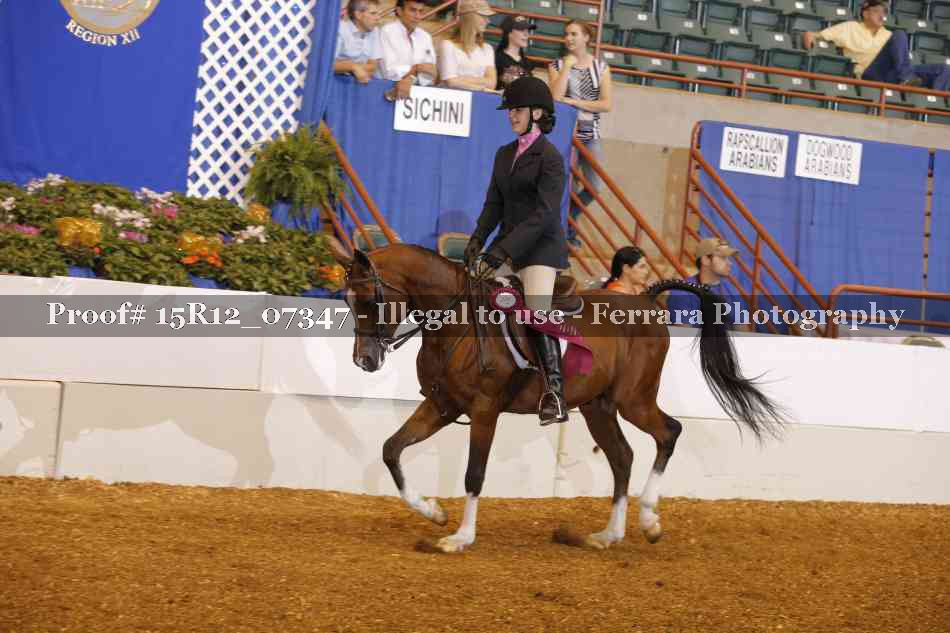 Proof Number 15R12_07347