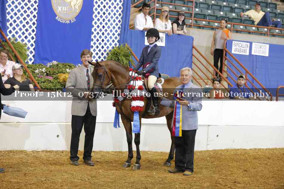 Proof Number 15R12_07373