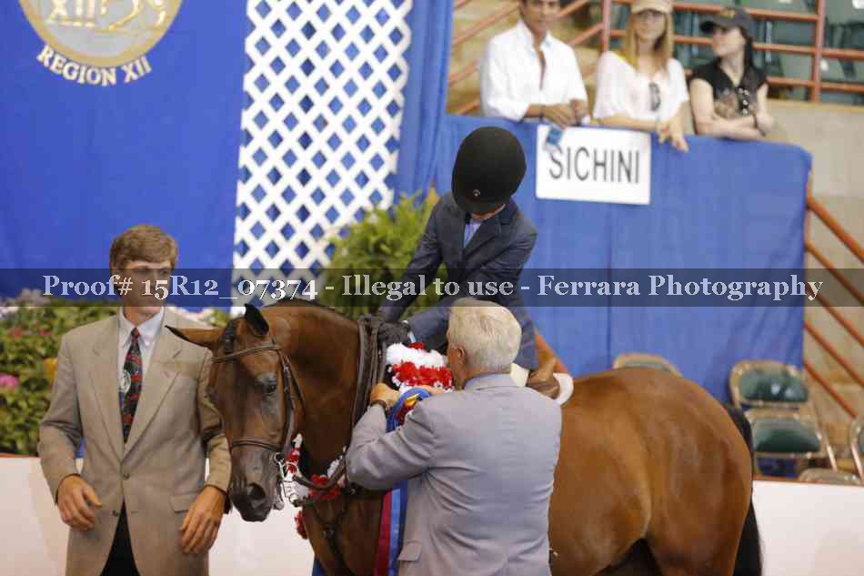 Proof Number 15R12_07374