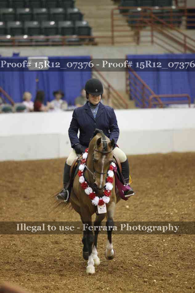 Proof Number 15R12_07376