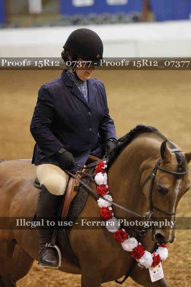 Proof Number 15R12_07377