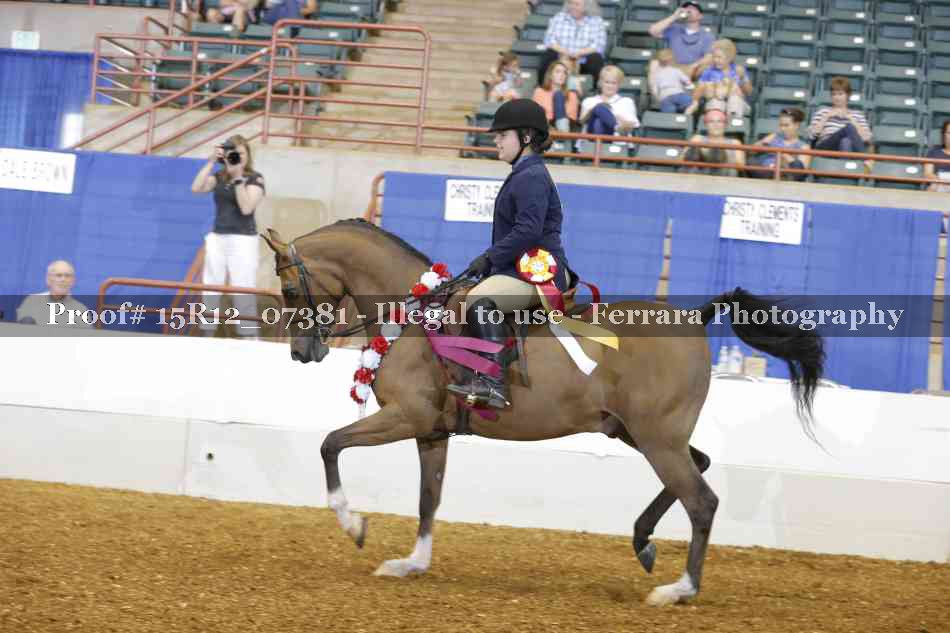 Proof Number 15R12_07381
