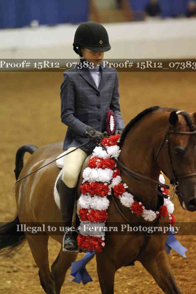 Proof Number 15R12_07383