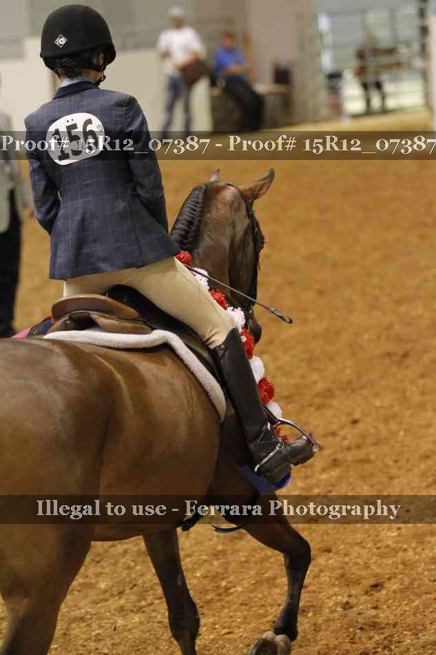 Proof Number 15R12_07387