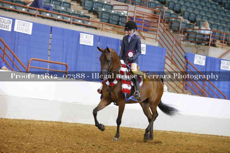 Proof Number 15R12_07388