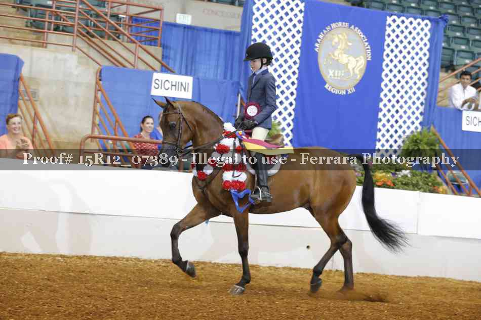 Proof Number 15R12_07389