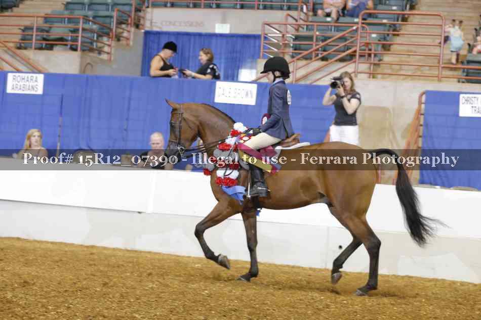Proof Number 15R12_07390