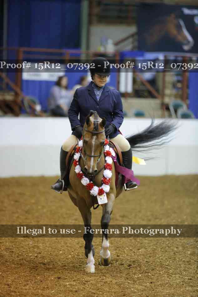 Proof Number 15R12_07392