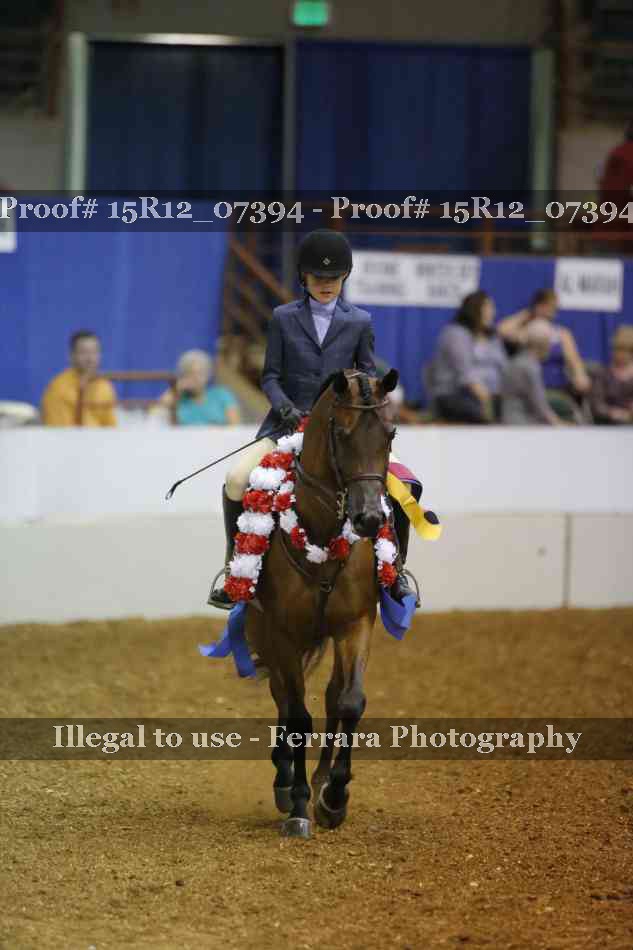 Proof Number 15R12_07394