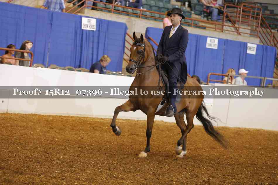 Proof Number 15R12_07396