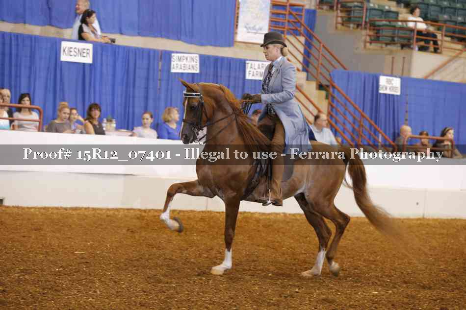 Proof Number 15R12_07401