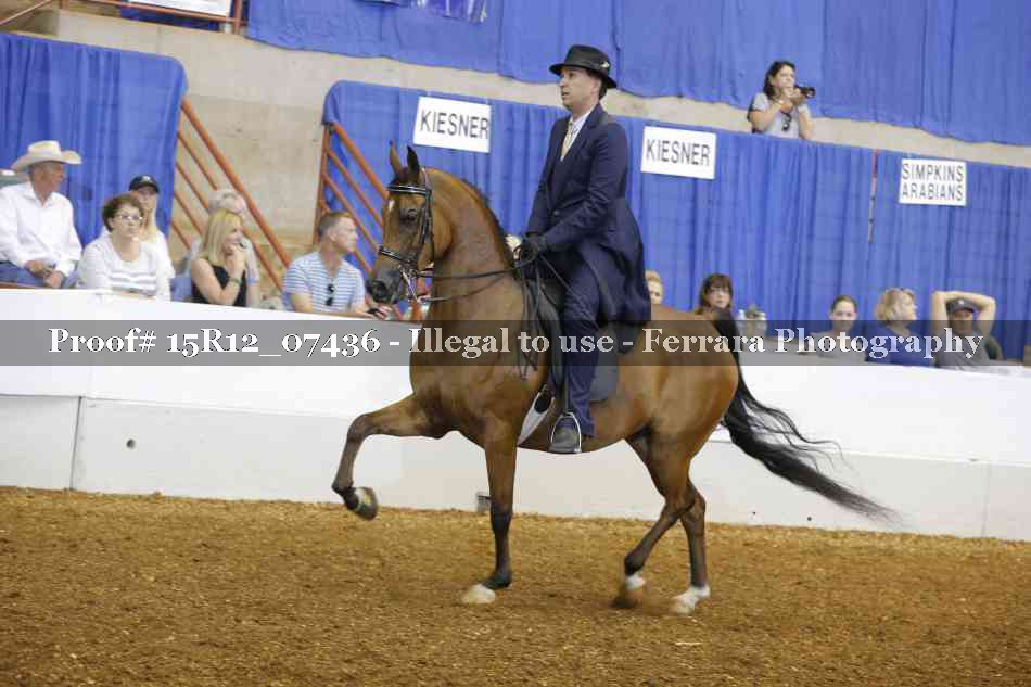 Proof Number 15R12_07436