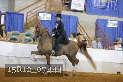 15R12_07444 thumbnail