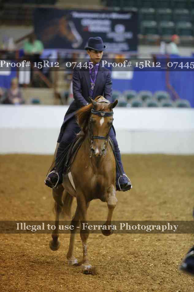 Proof Number 15R12_07445