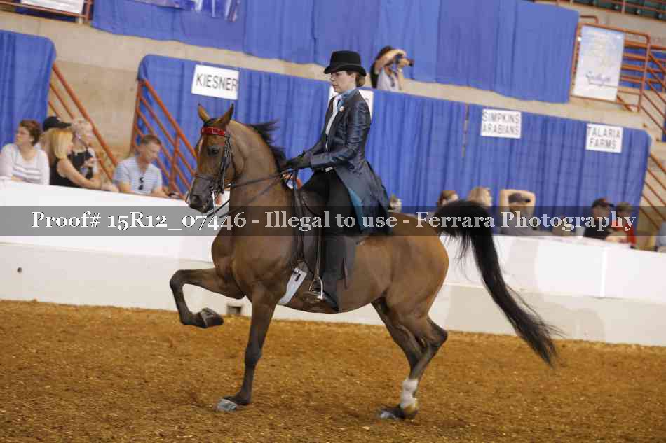 Proof Number 15R12_07446