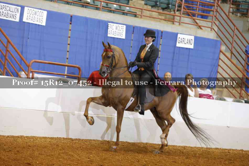 Proof Number 15R12_07452