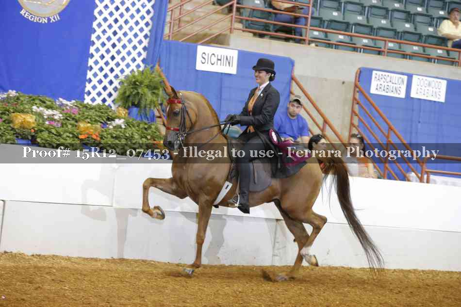 Proof Number 15R12_07453