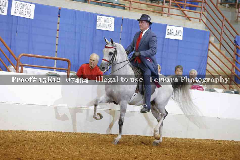 Proof Number 15R12_07454