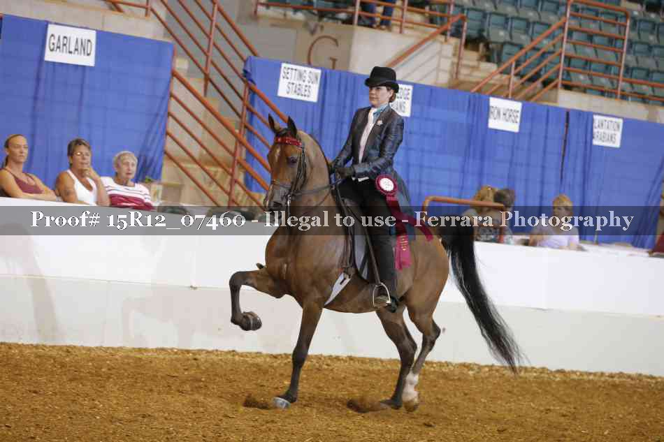 Proof Number 15R12_07460