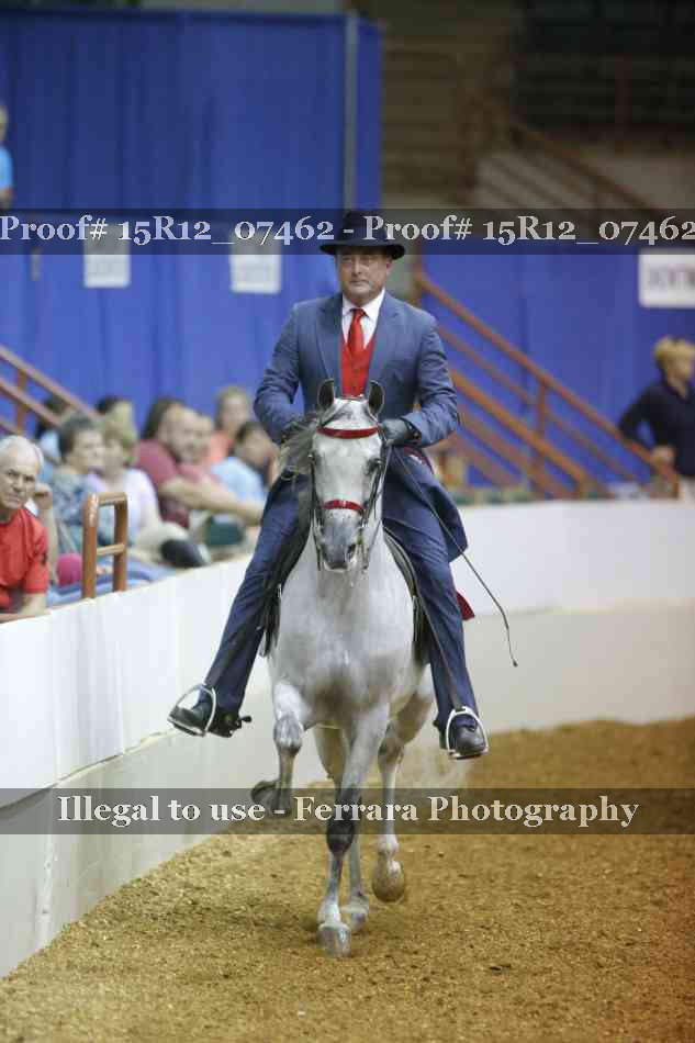 Proof Number 15R12_07462