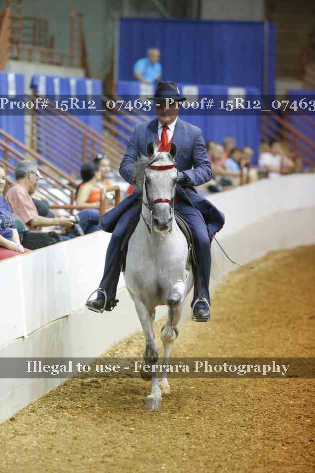 Proof Number 15R12_07463