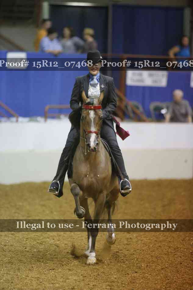 Proof Number 15R12_07468