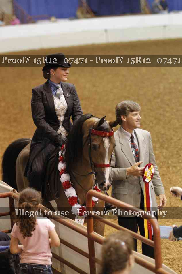 Proof Number 15R12_07471