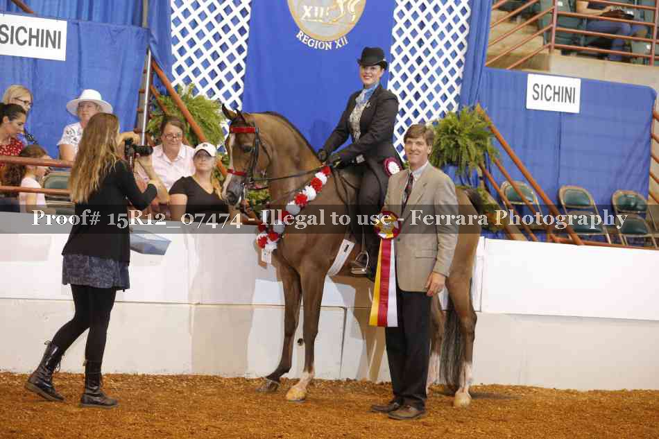 Proof Number 15R12_07474