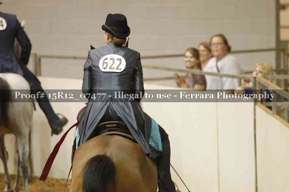 Proof Number 15R12_07477