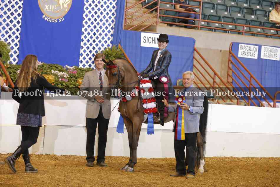 Proof Number 15R12_07481
