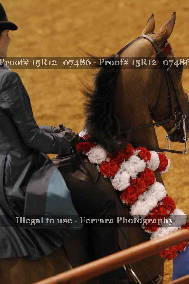Proof Number 15R12_07486