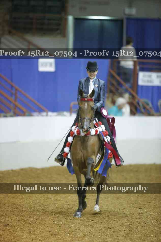 Proof Number 15R12_07504
