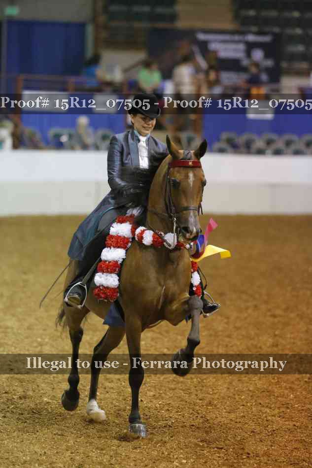 Proof Number 15R12_07505