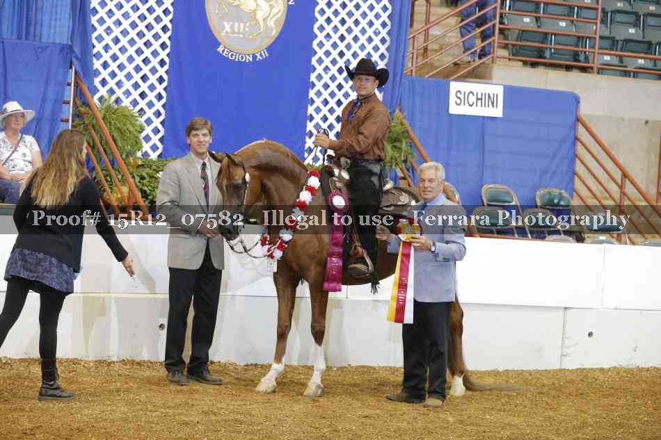 Proof Number 15R12_07582